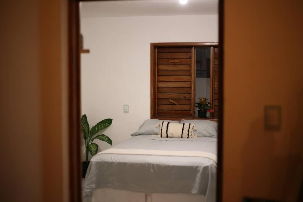 Apartamento Casa Tao