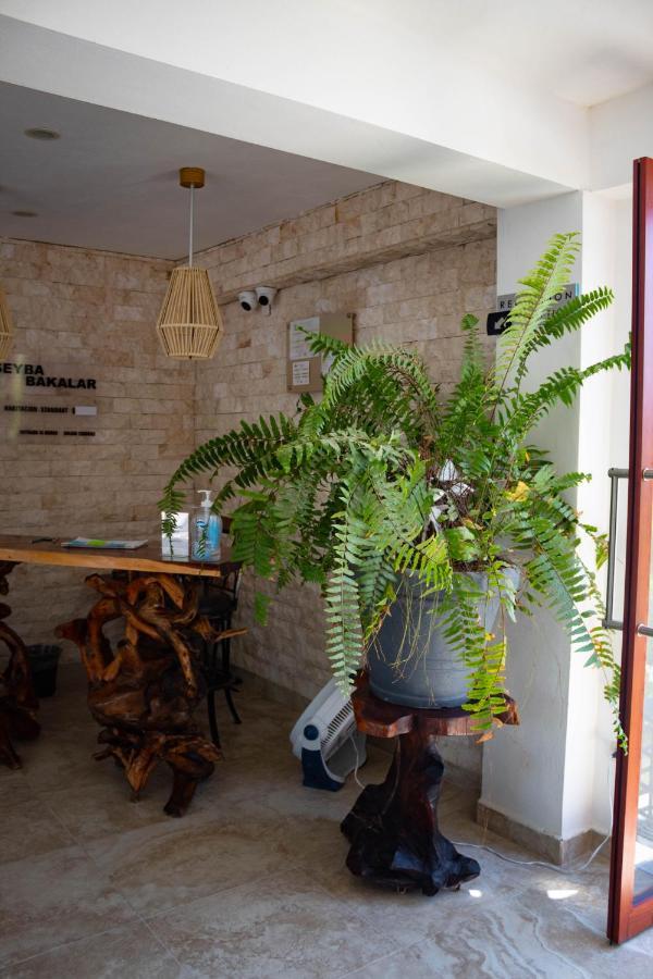 Hotel Seyba Bakalar Hotel 5*