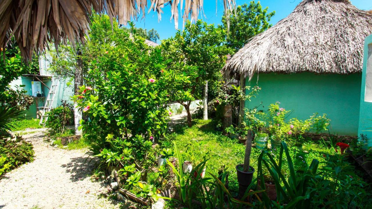 Hotel Cabanas Palmas