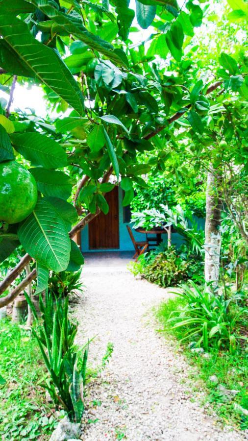 Cabanas Palmas