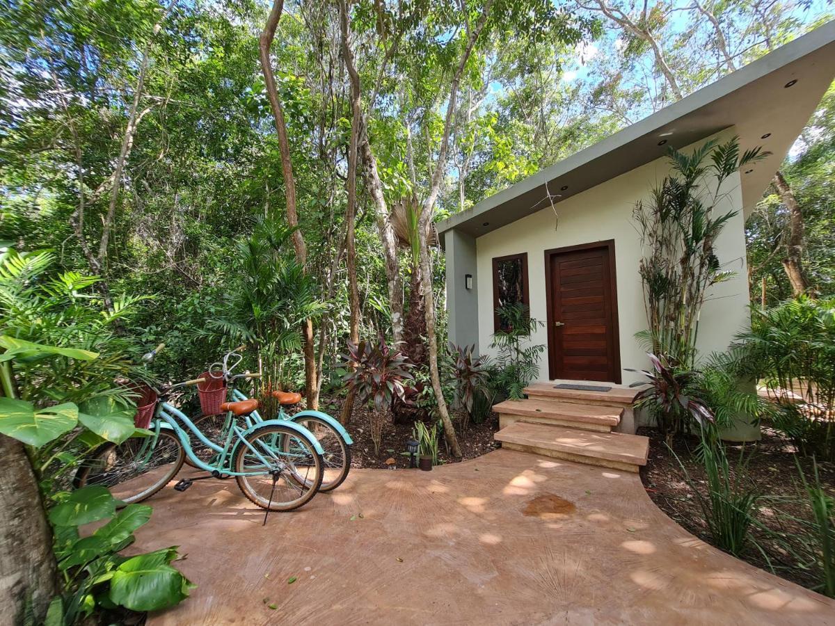 Apartahotel Secret Gardens 01 Con Alberca Y Bicicletas