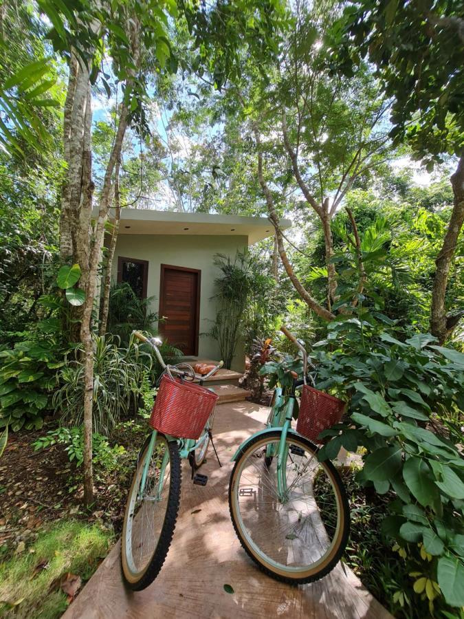 Hotel Secret Gardens 02 Con Alberca Y Bicicletas Bacalar