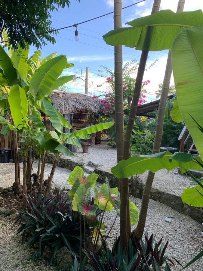 Jungla Bacalar/ Casa Jaguar Bacalar