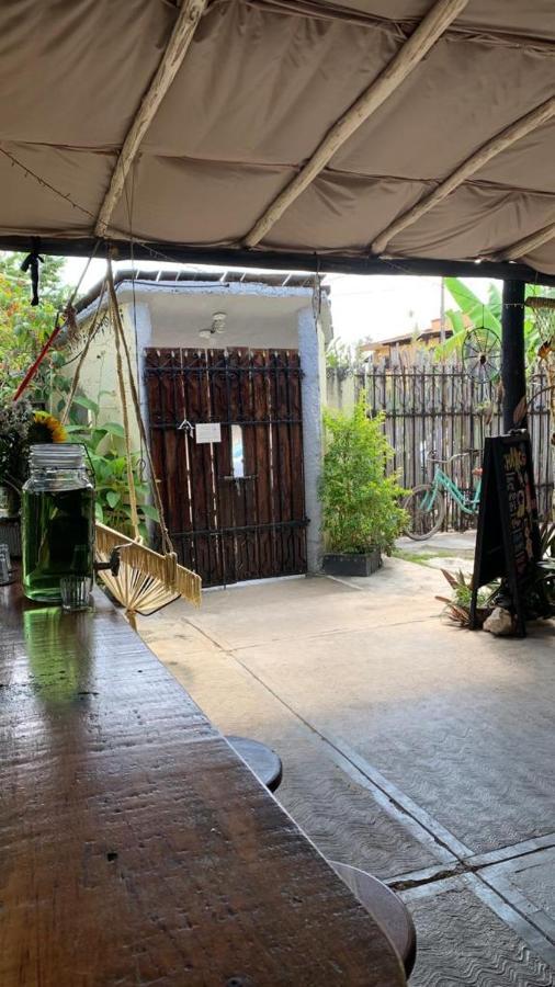 Cada Iguana, By Jungla 5ta Av. Apartamento *