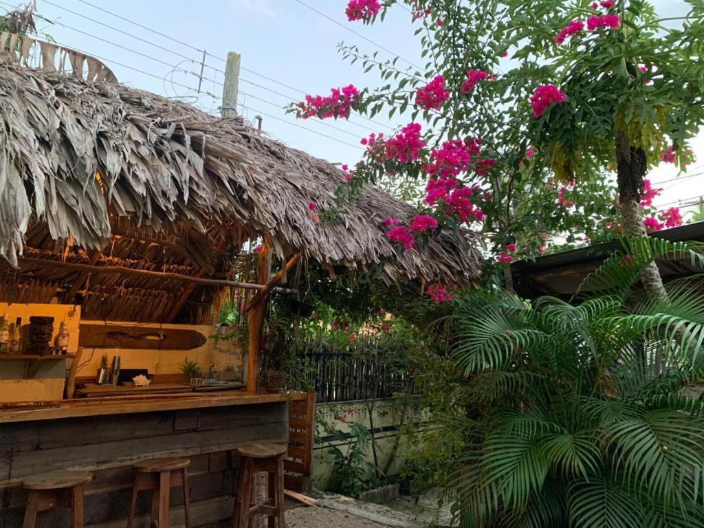 Jungla Bacalar/ Casa Jaguar * Bacalar