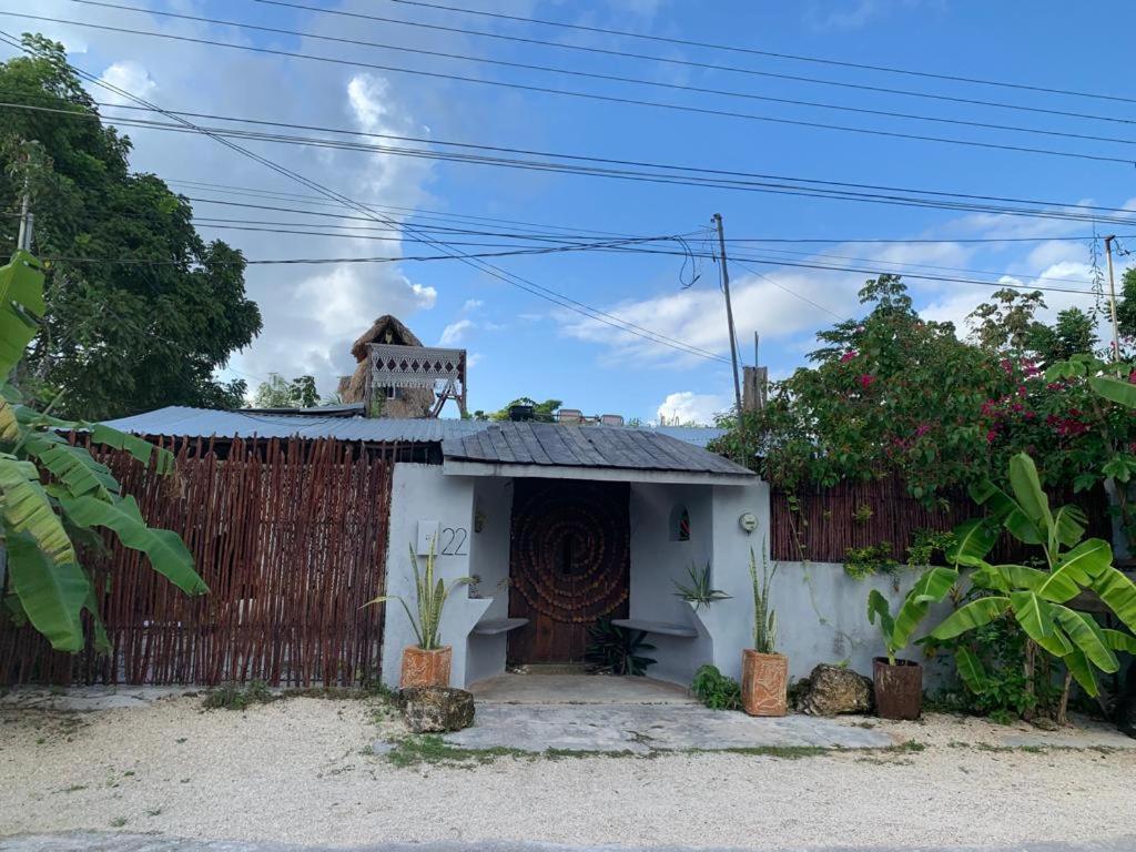 Jungla Bacalar/ Casa Jaguar