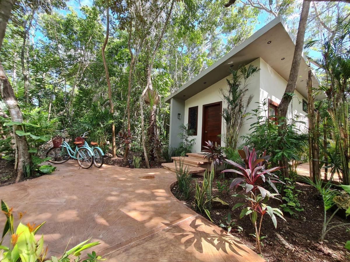 Apartahotel Secret Gardens 01 Con Alberca Y Bicicletas Bacalar