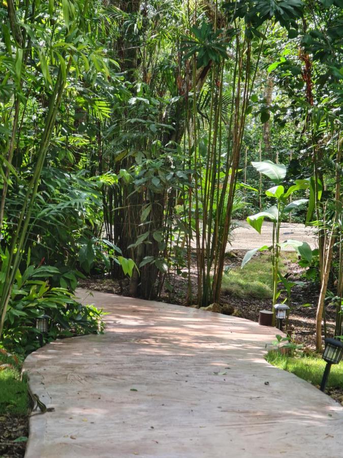 Secret Gardens 01 Con Alberca Y Bicicletas Apartahotel Bacalar