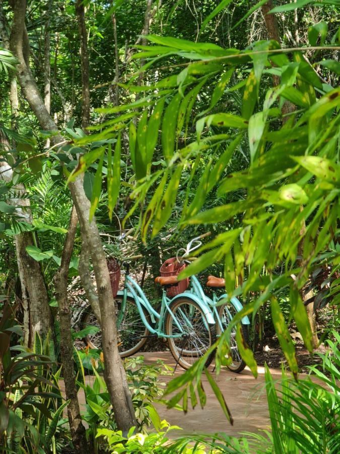 Hotel Secret Gardens 02 Con Alberca Y Bicicletas Bacalar