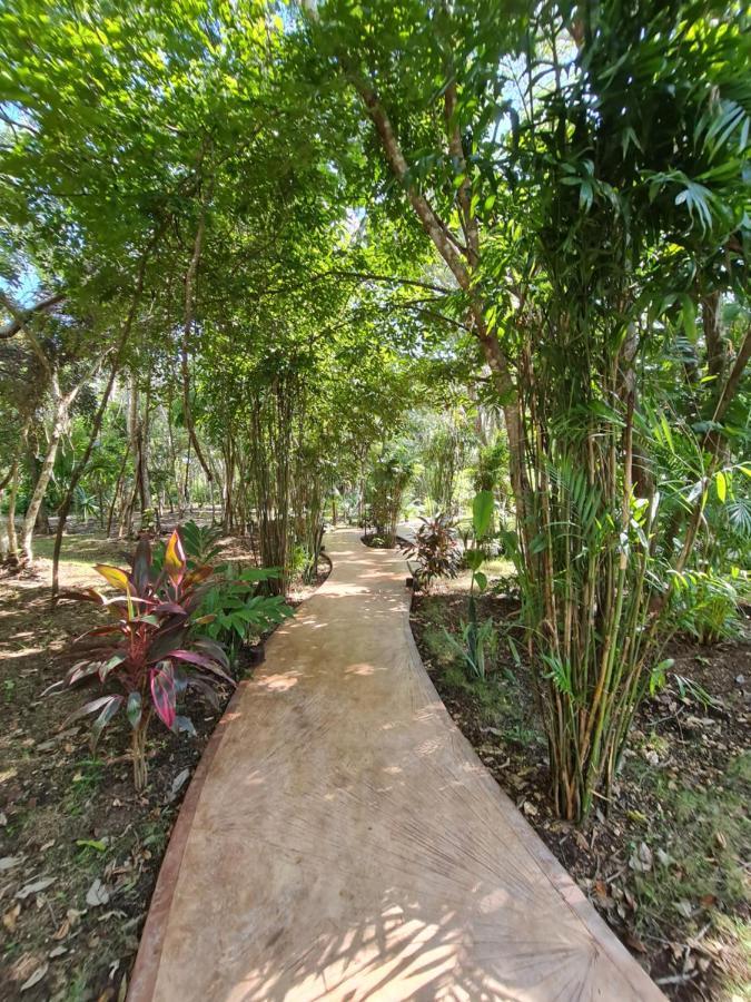 Secret Gardens 02 Con Alberca Y Bicicletas * Bacalar