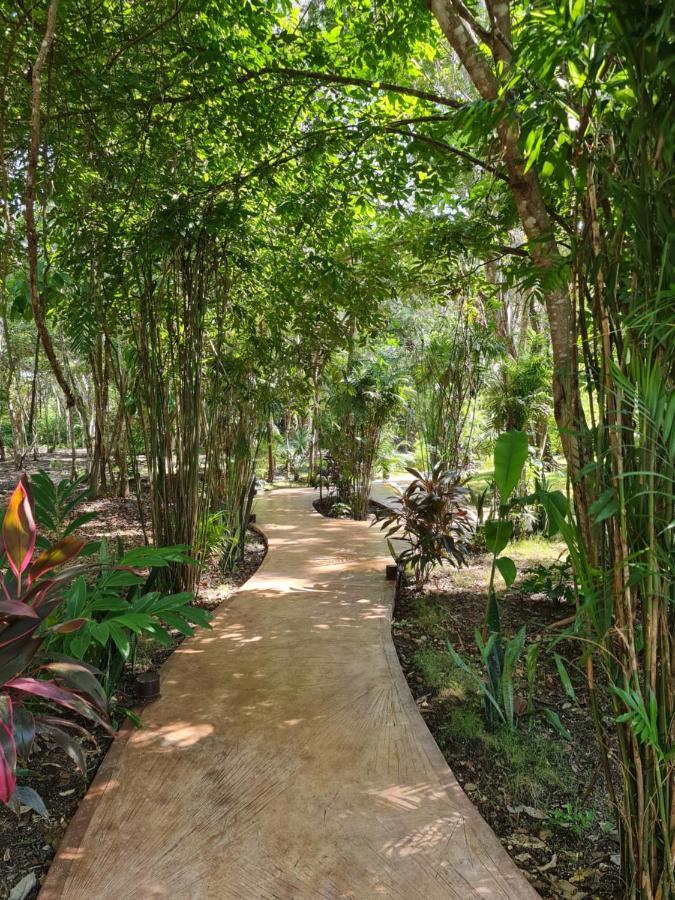 Secret Gardens 02 Con Alberca Y Bicicletas * Bacalar