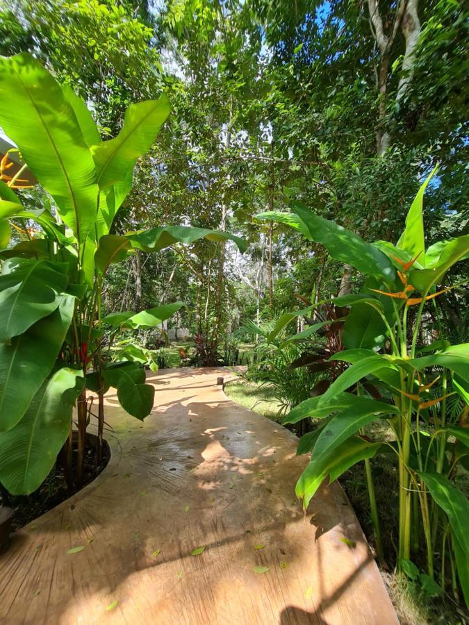 Apartahotel Secret Gardens 01 Con Alberca Y Bicicletas Bacalar