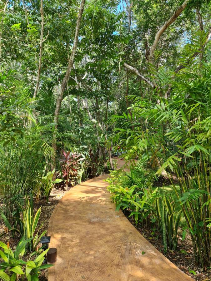 Secret Gardens 01 Con Alberca Y Bicicletas * Bacalar