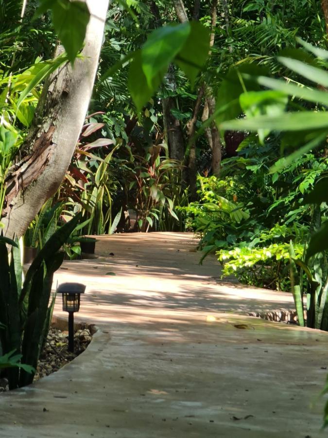 Apartahotel Secret Gardens 01 Con Alberca Y Bicicletas