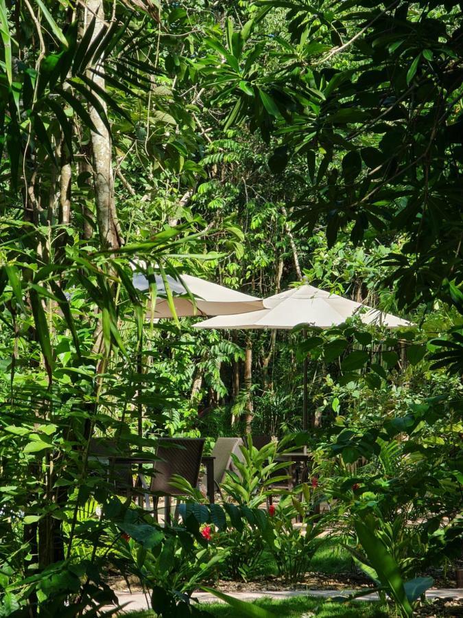 Hotel Secret Gardens 02 Con Alberca Y Bicicletas Bacalar