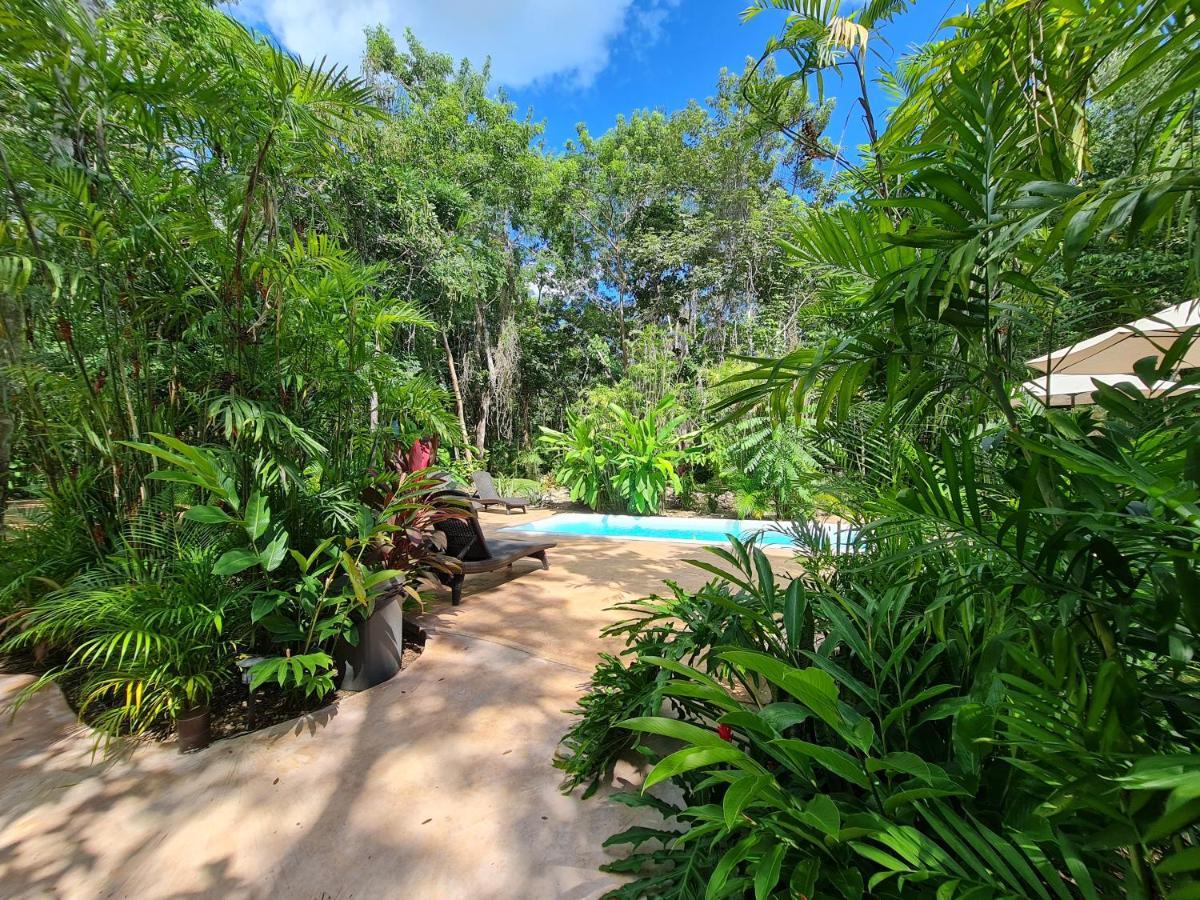 Secret Gardens 02 Con Alberca Y Bicicletas Hotel Bacalar