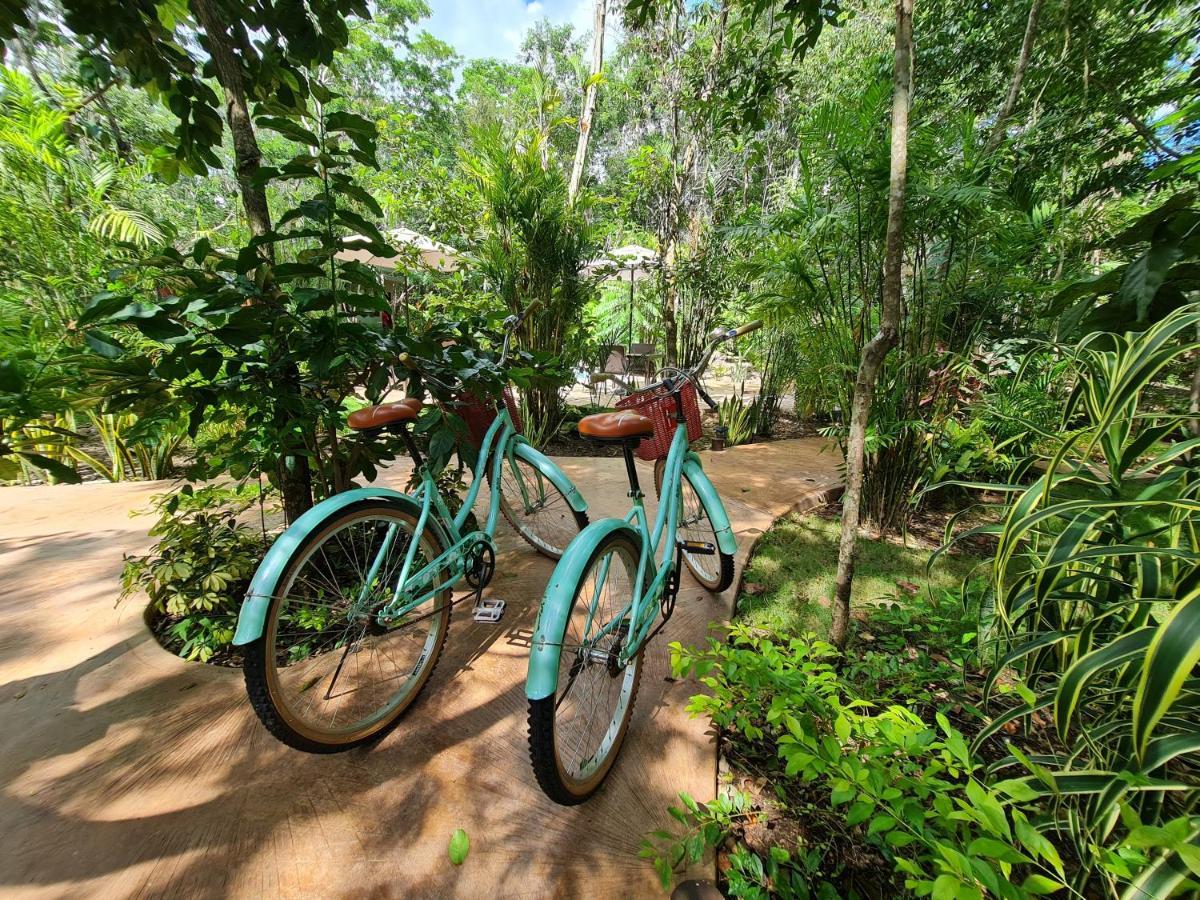 Secret Gardens 02 Con Alberca Y Bicicletas Hotel *
