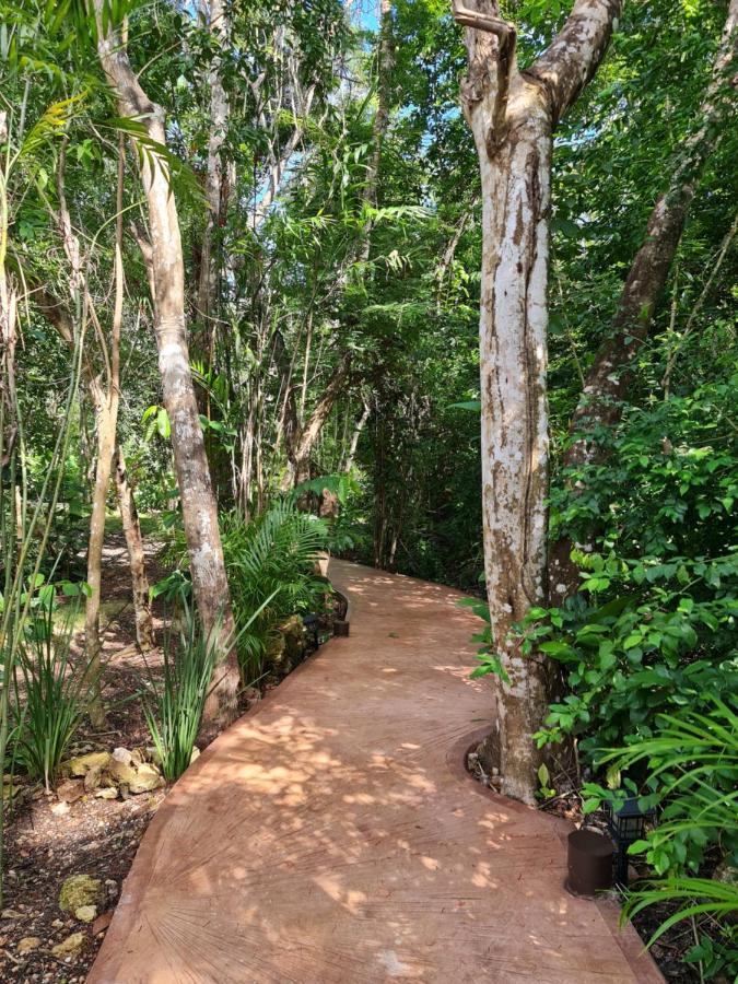 Secret Gardens 02 Con Alberca Y Bicicletas * Bacalar