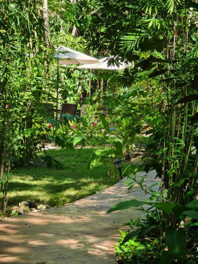 Apartahotel Secret Gardens 01 Con Alberca Y Bicicletas
