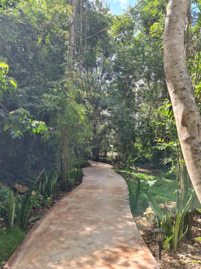 Apartahotel Secret Gardens 01 Con Alberca Y Bicicletas