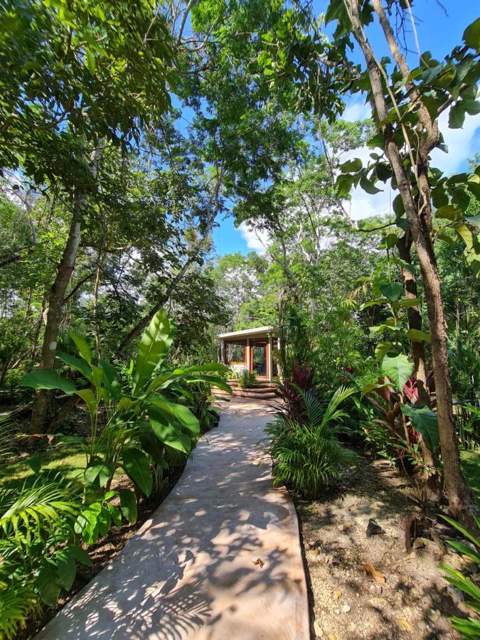 Secret Gardens 02 Con Alberca Y Bicicletas Hotel Bacalar