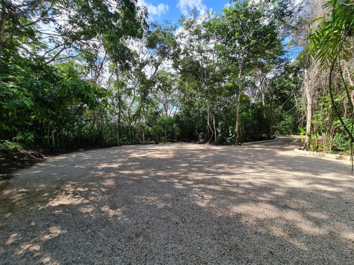 Secret Gardens 02 Con Alberca Y Bicicletas Hotel Bacalar