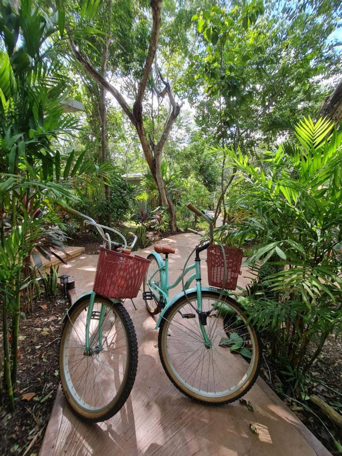 Secret Gardens 01 Con Alberca Y Bicicletas Apartahotel Bacalar