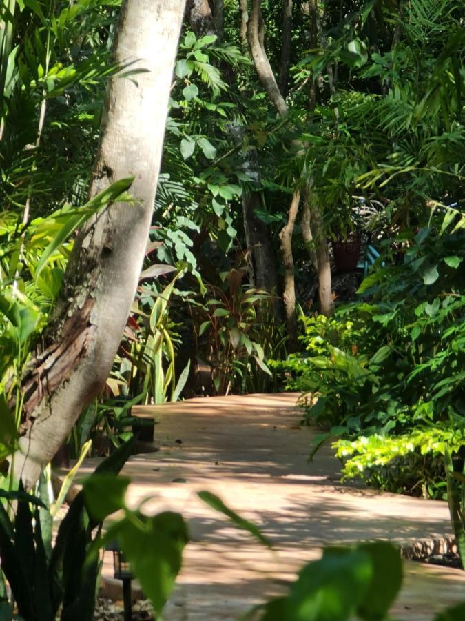 Hotel Secret Gardens 02 Con Alberca Y Bicicletas Bacalar