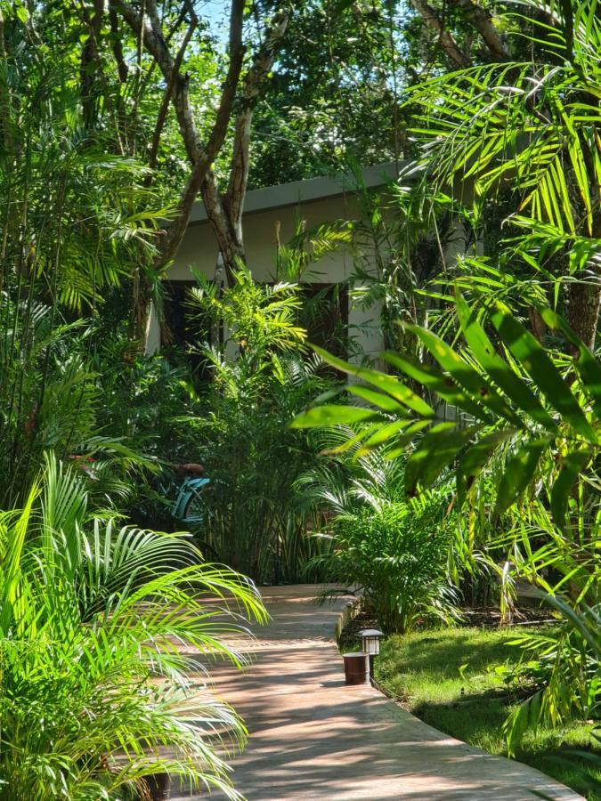 Secret Gardens 02 Con Alberca Y Bicicletas Hotel *