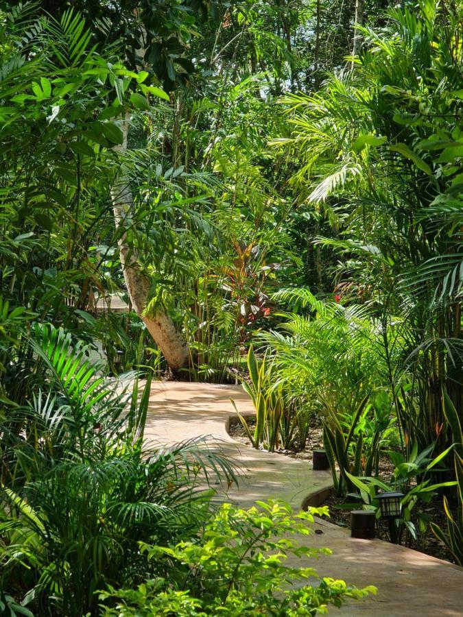 Secret Gardens 02 Con Alberca Y Bicicletas Hotel Bacalar