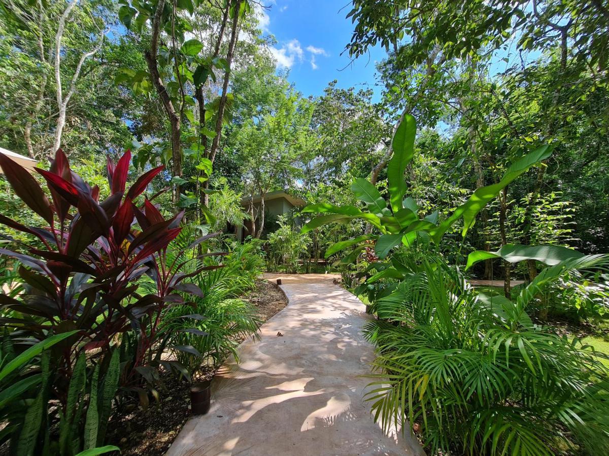 Hotel Secret Gardens 02 Con Alberca Y Bicicletas Bacalar
