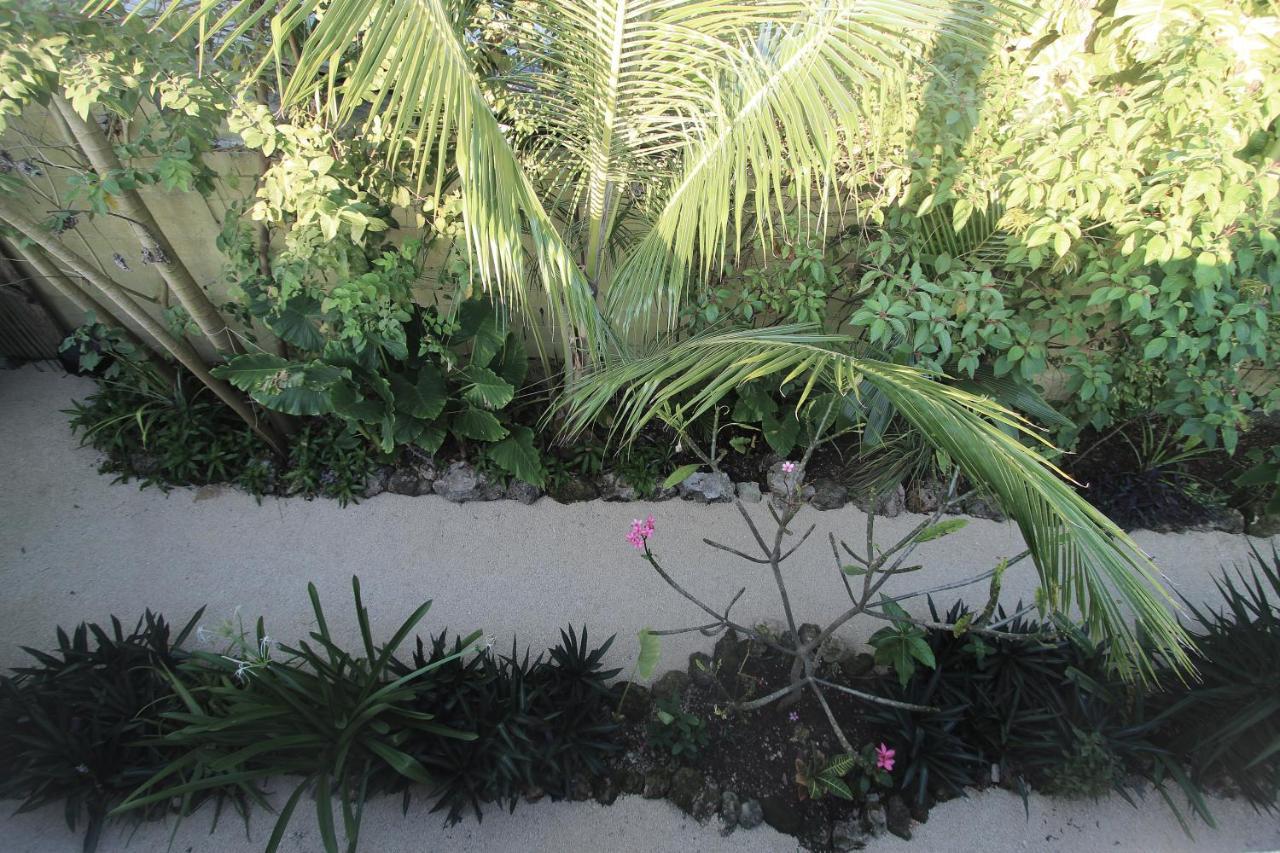 Jungla Bacalar/ Casa Jaguar * Bacalar