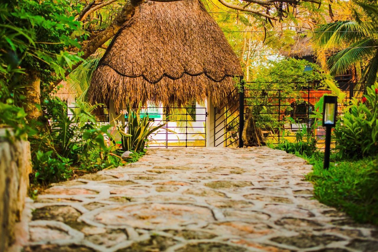 Camino Del Alma