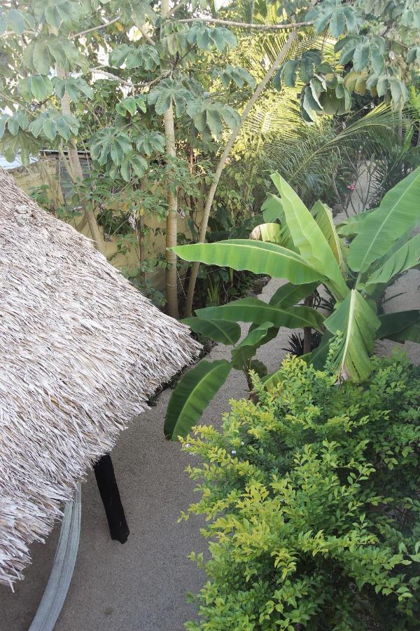 Apartamento Cada Iguana, By Jungla 5ta Av. *