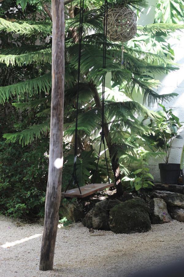 Apartamento Cada Iguana, By Jungla 5ta Av. *