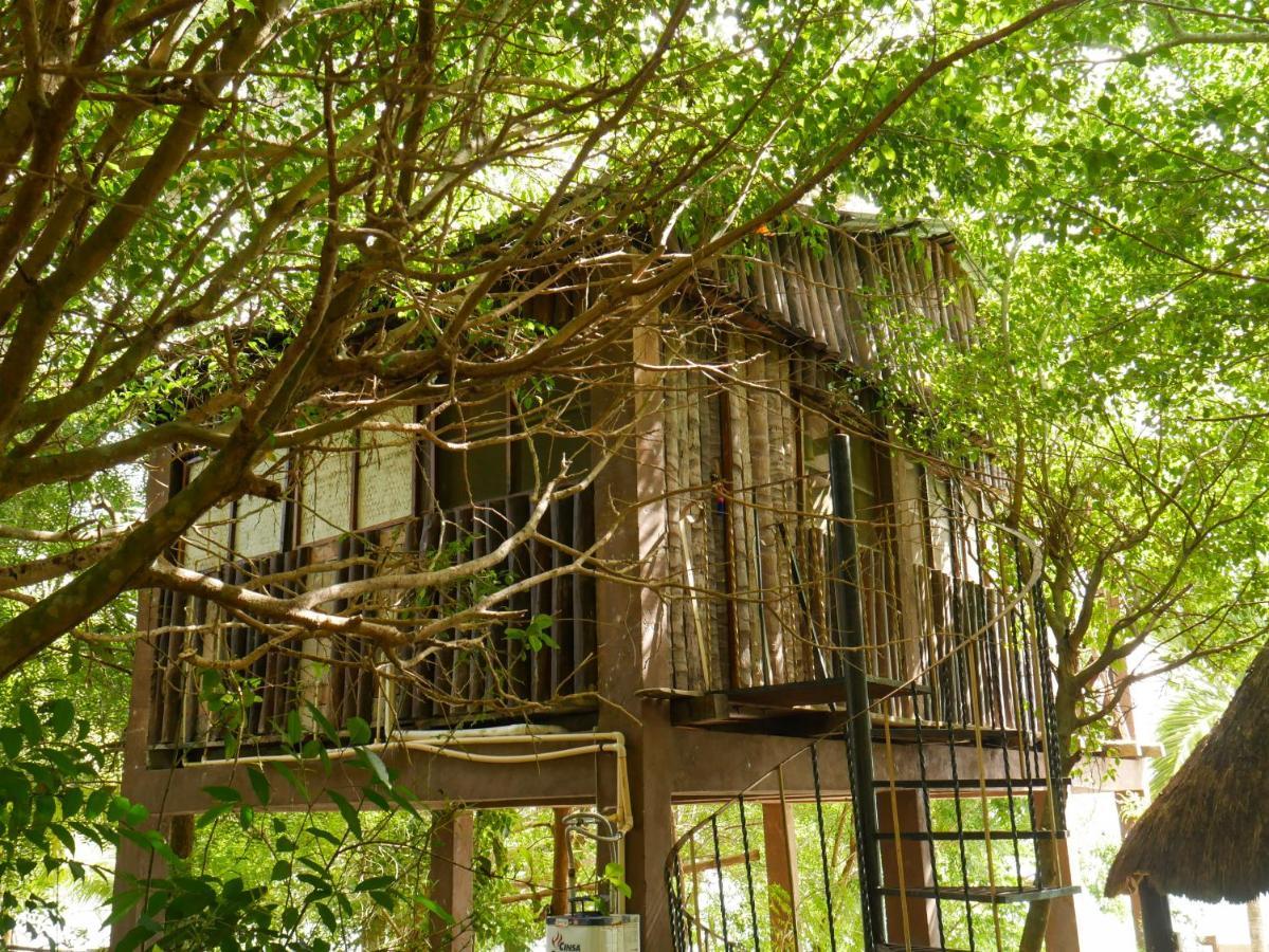 Sanctuary Mayan *
