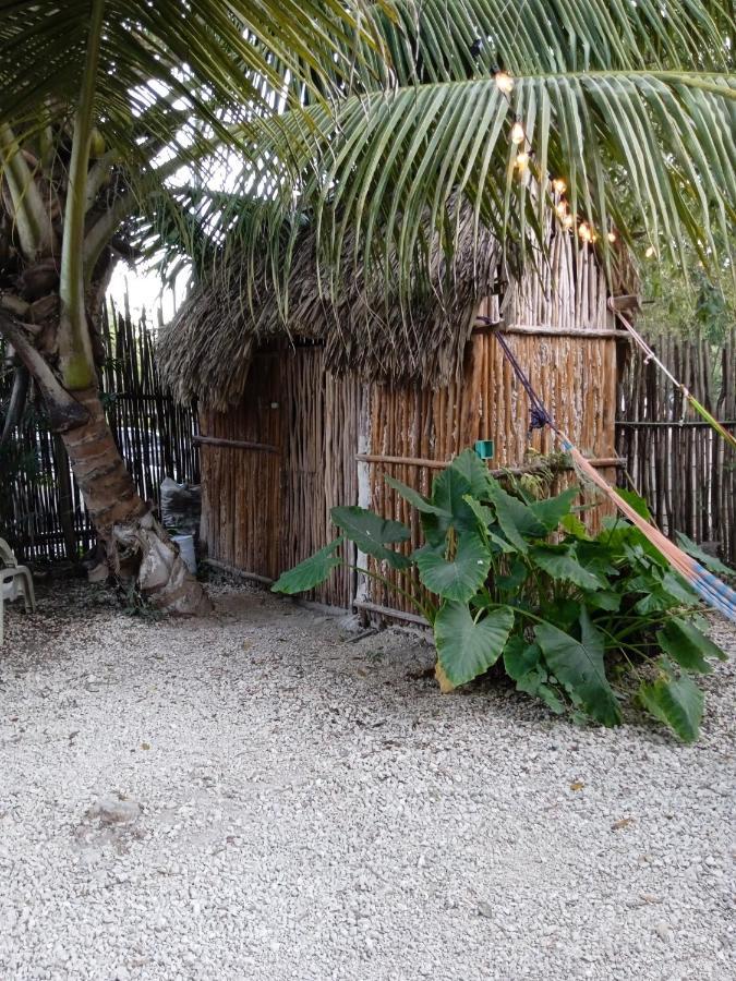 Muelle36 Camping