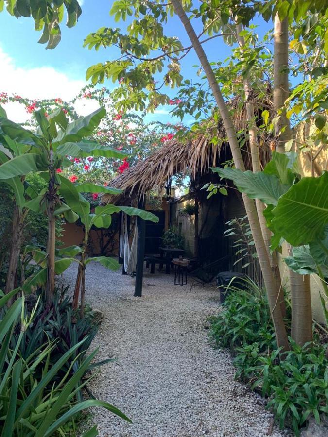 Jungla Bacalar/ Casa Guacamayo 5ta. Av. Bacalar