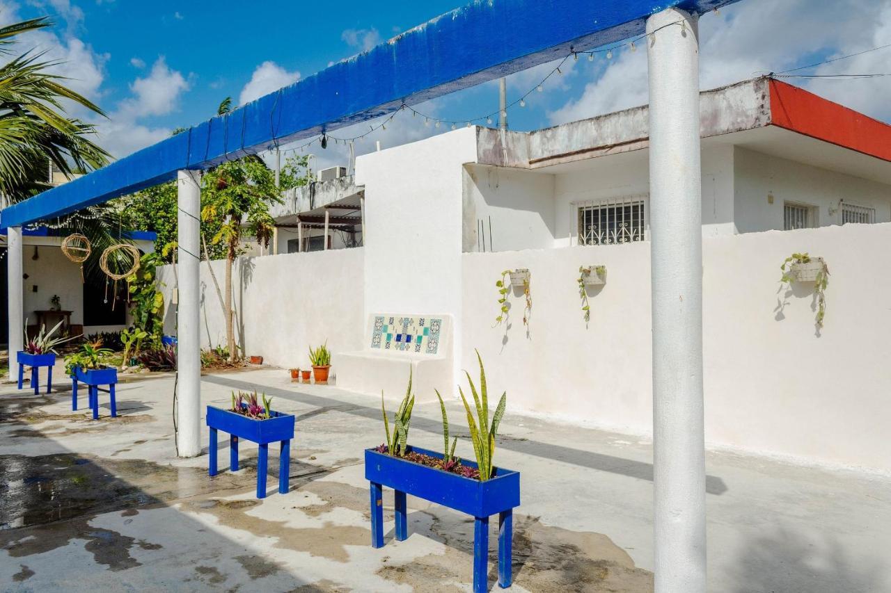 Nido Wellness Center Bacalar