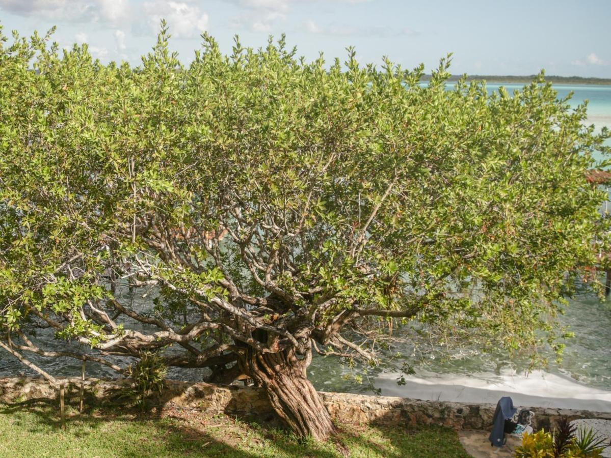 Apartamento Bego's Lagoon House. Free Kayaks And Bikes Bacalar
