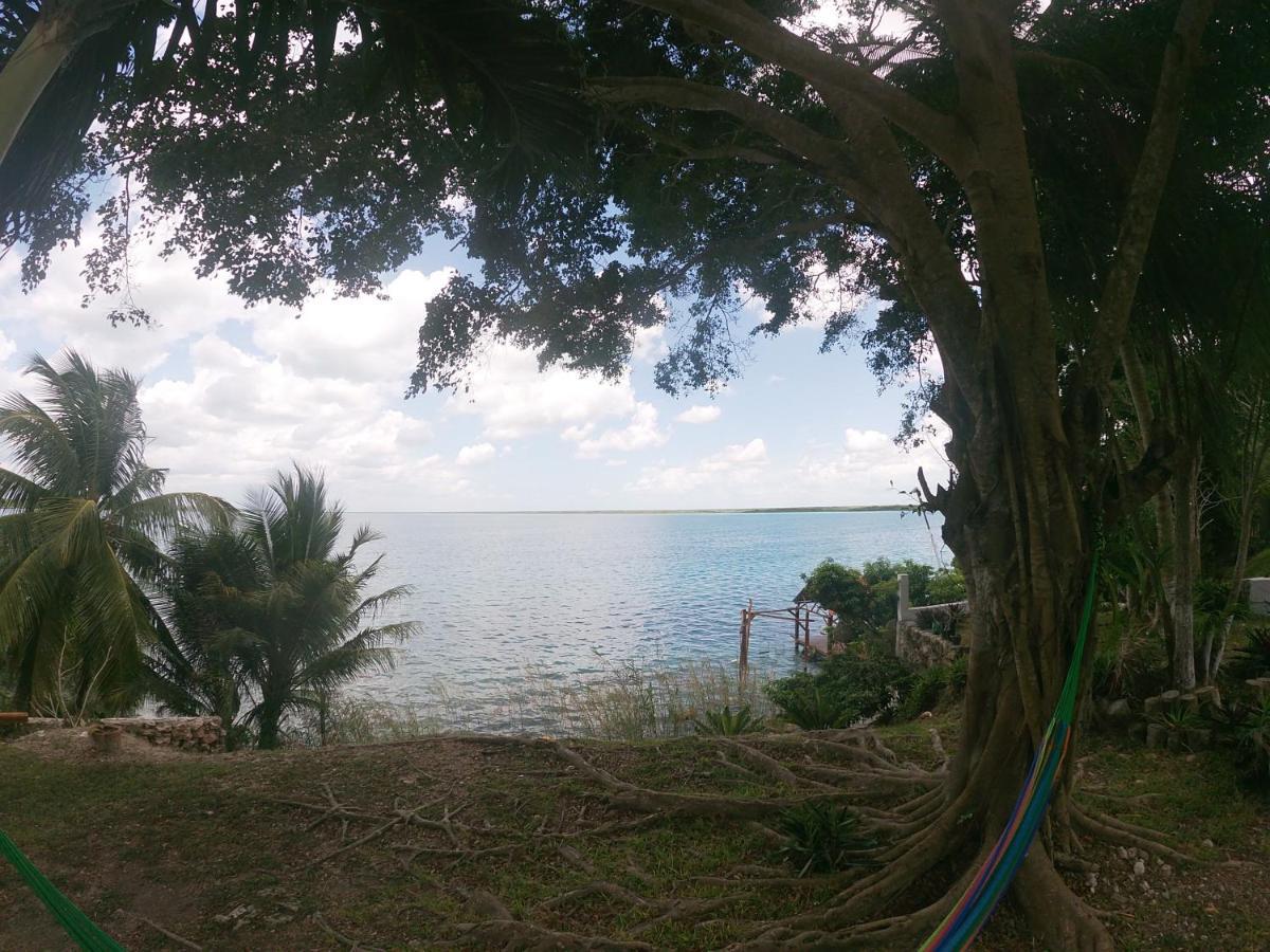 Karalv * Bacalar