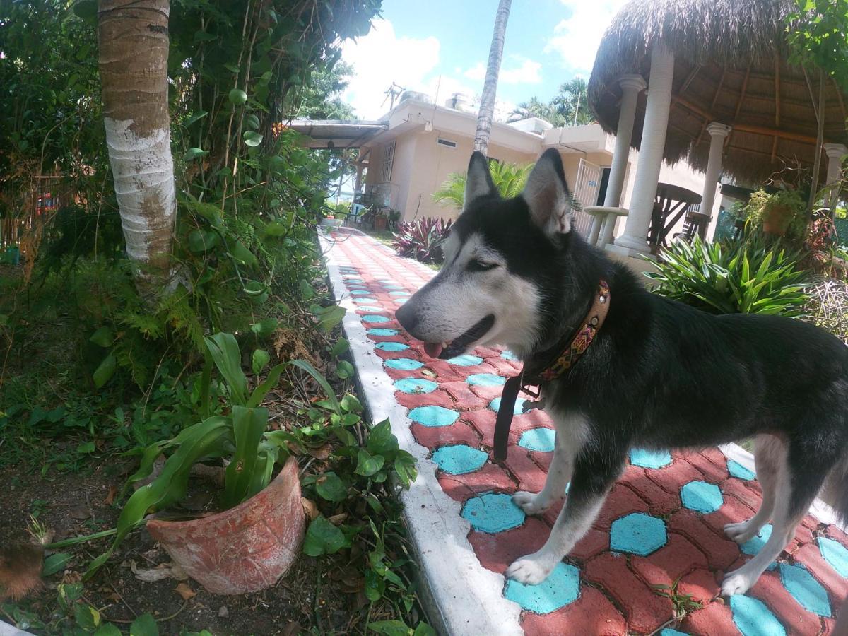 Karalv Villa Bacalar