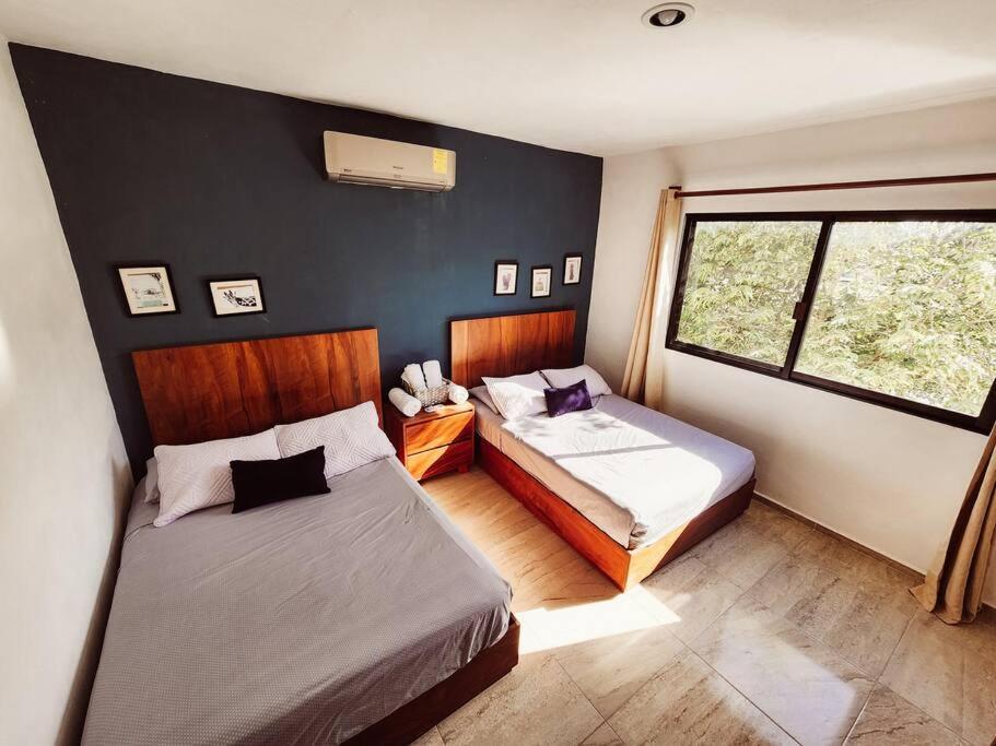 Casa Magico *