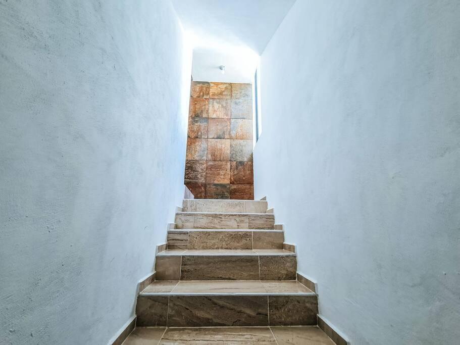 Casa Magico *