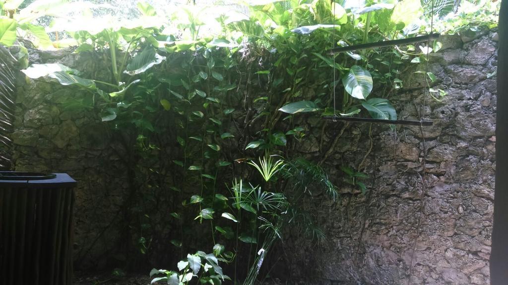 Eco-romanticas Kuuch Ka'anil Bacalar