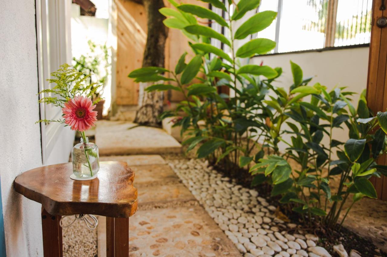 Bed & Breakfast Selva Maya