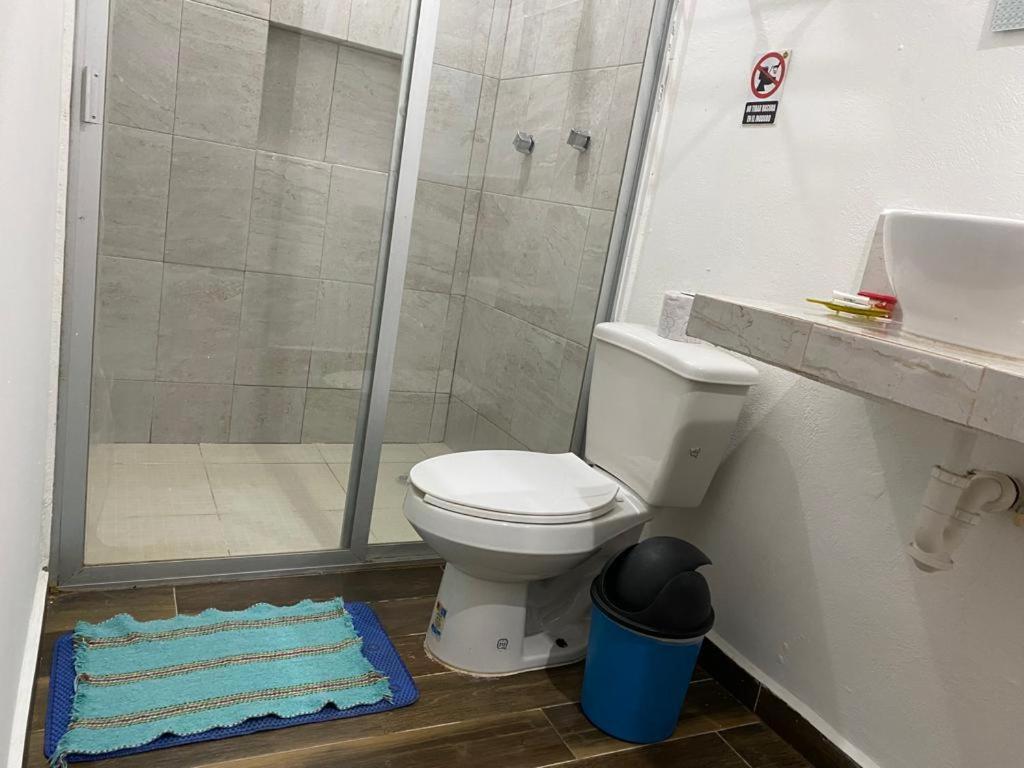 Hotel B7 Blue Bacalar