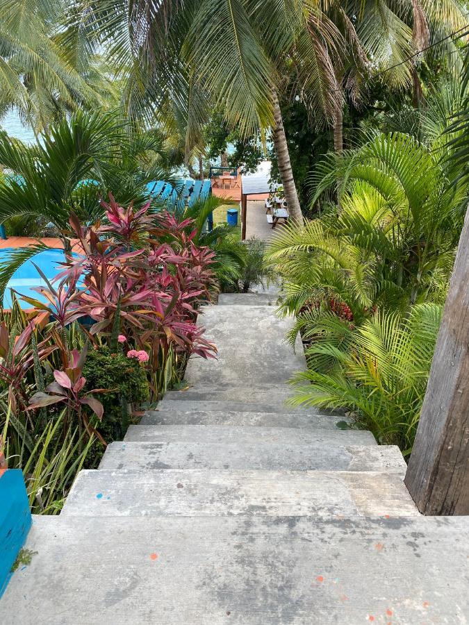 Hotel B7 Blue Bacalar