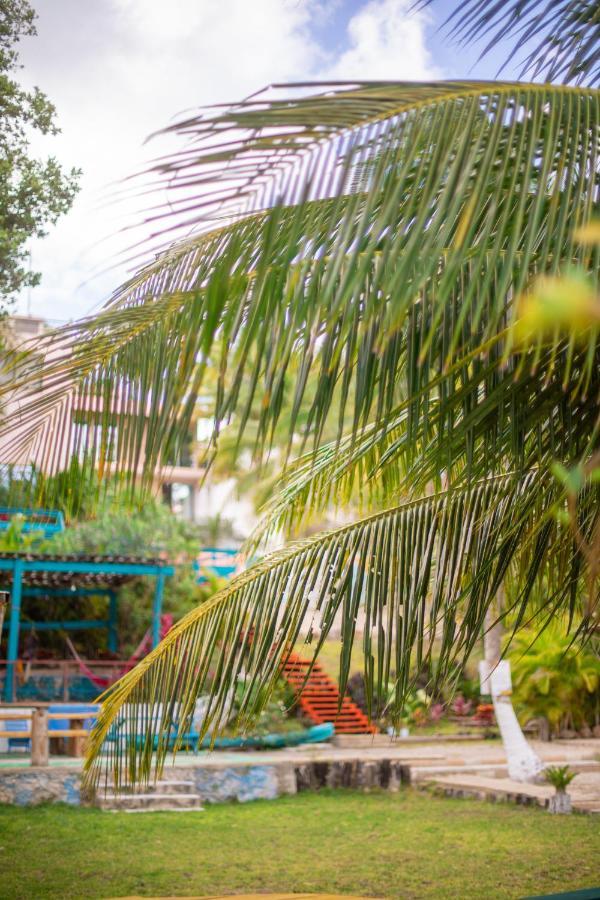 Hotel B7 Blue Bacalar
