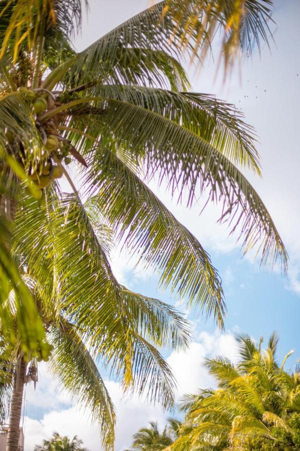 Hotel B7 Blue Bacalar